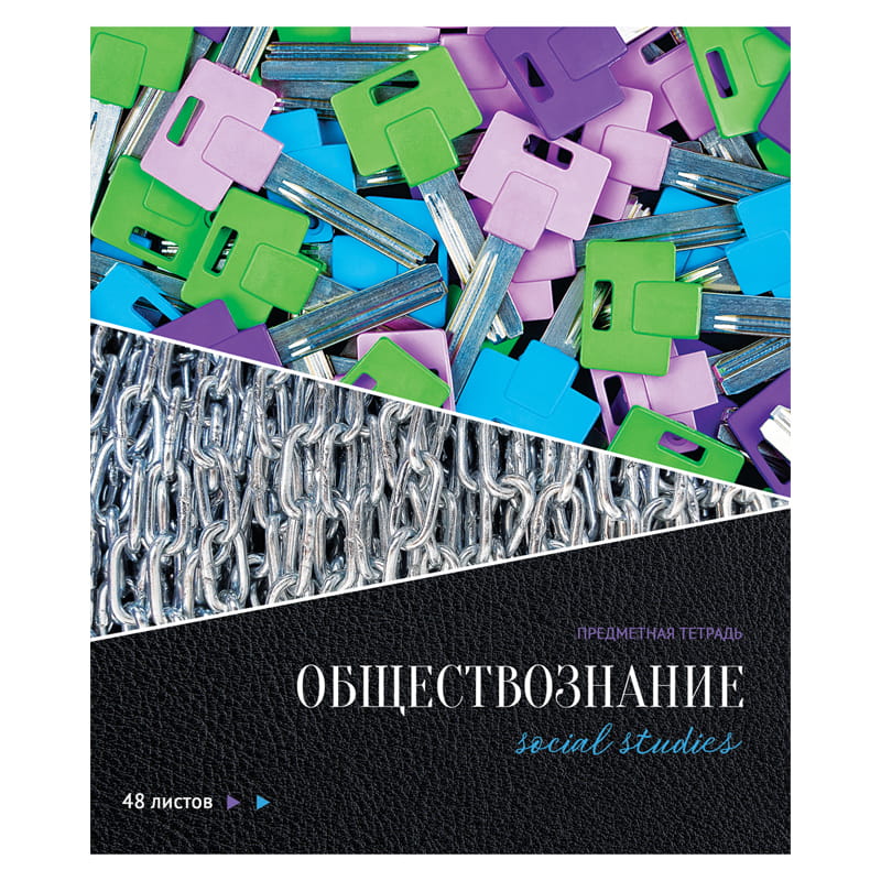 Предметные тетради 48. Предметные тетради. Тетрадь предметная Обществознание. Предметные тетради 48 листов. Тематические тетради.